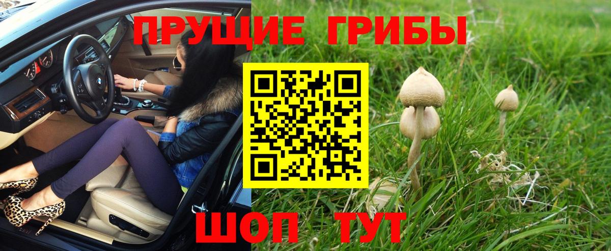 Петрозаводск  Галлюциногенные грибы прущие грибы  Вход с VPN 