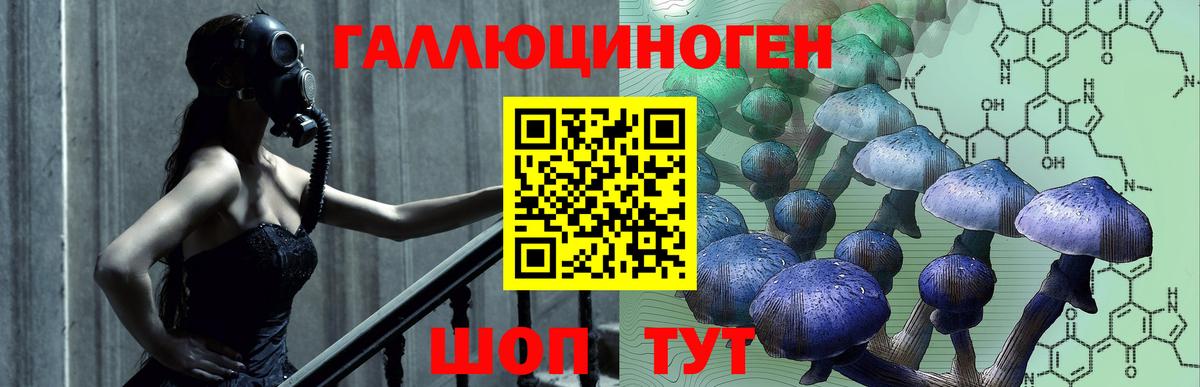 Псилоцибиновые грибы мухоморы Петрозаводск
